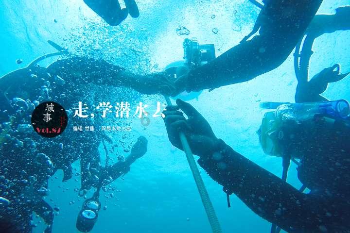 捣蛋猪HD8.0